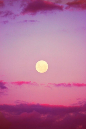 Prepare for a Huge Energy Shift with the Full Moon 11 April 2017
